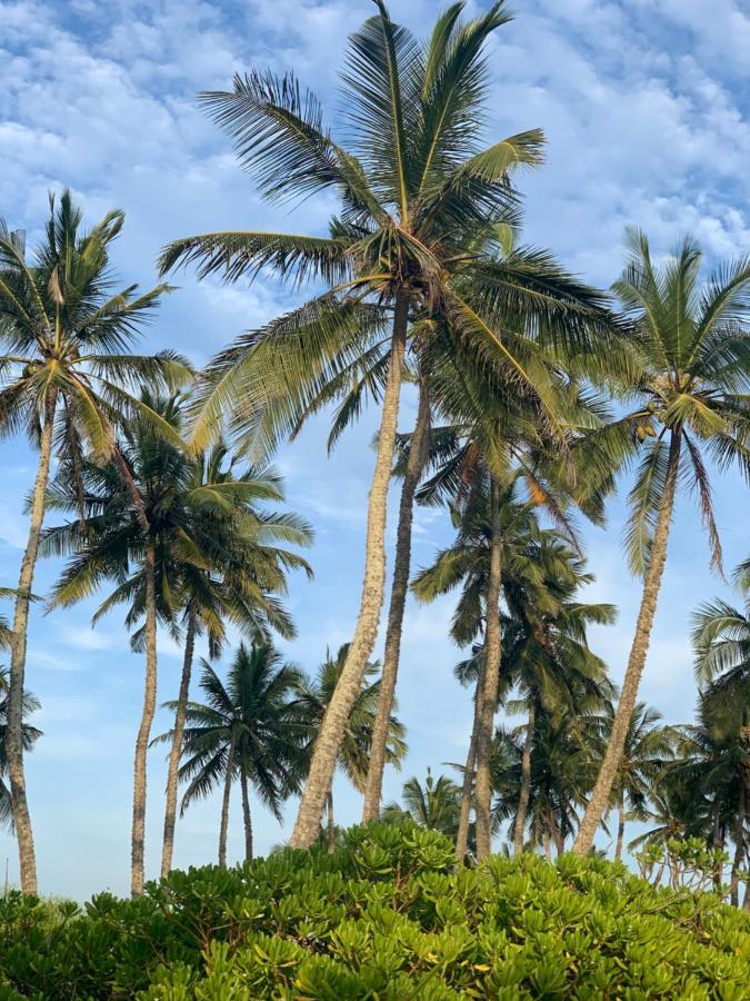 Serein Beach Hotel Tangalle Eksteriør bilde